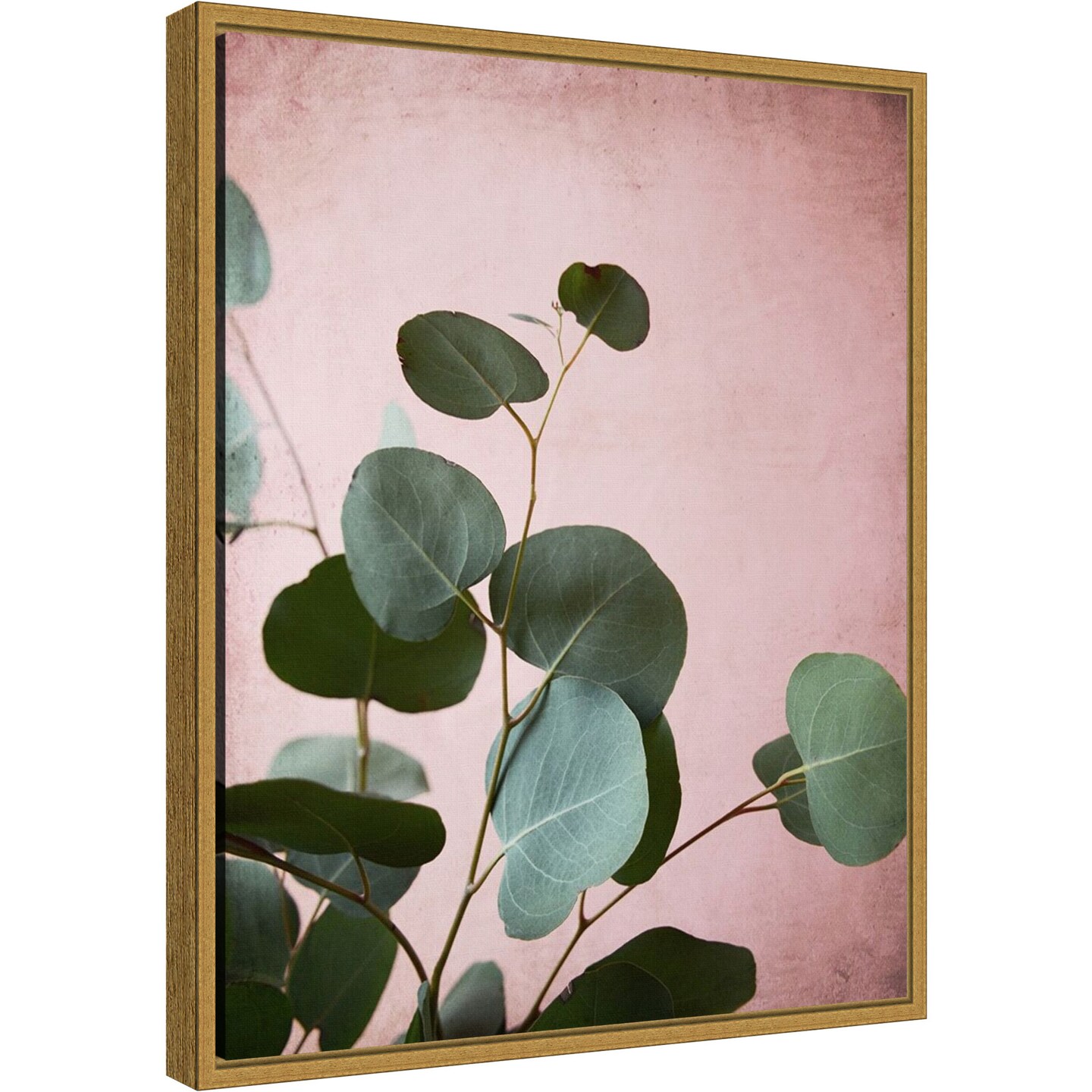 Sage Eucalyptus No. 2 by Lupen Grainne 16-in. W x 20-in. H. Canvas Wall Art Print Framed in Gold