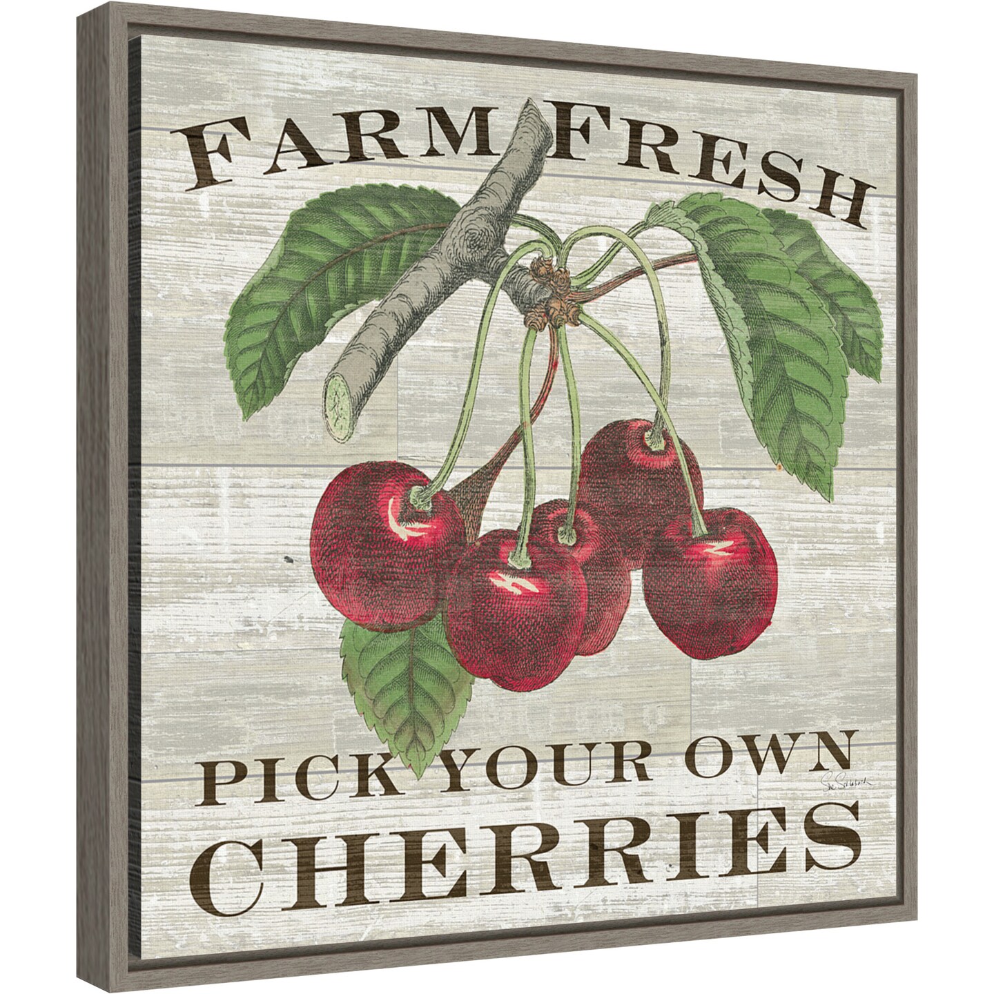 Farm Fresh Cherries by Sue Schlabach 16-in. W x 16-in. H. Canvas Wall Art Print Framed in Grey