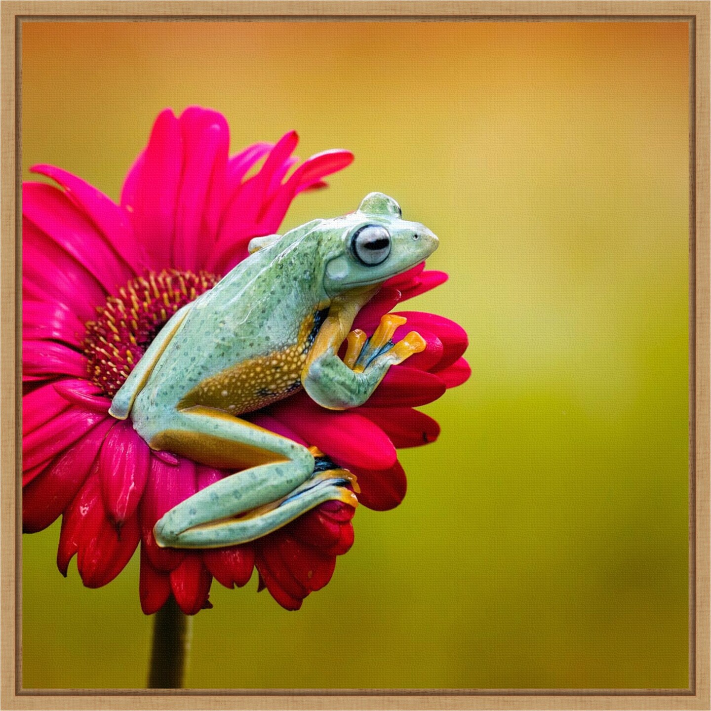 Pretty Frog on Pink Flower by Fauzan Maududdin 16-in. W x 16-in. H. Canvas Wall Art Print Framed in Natural