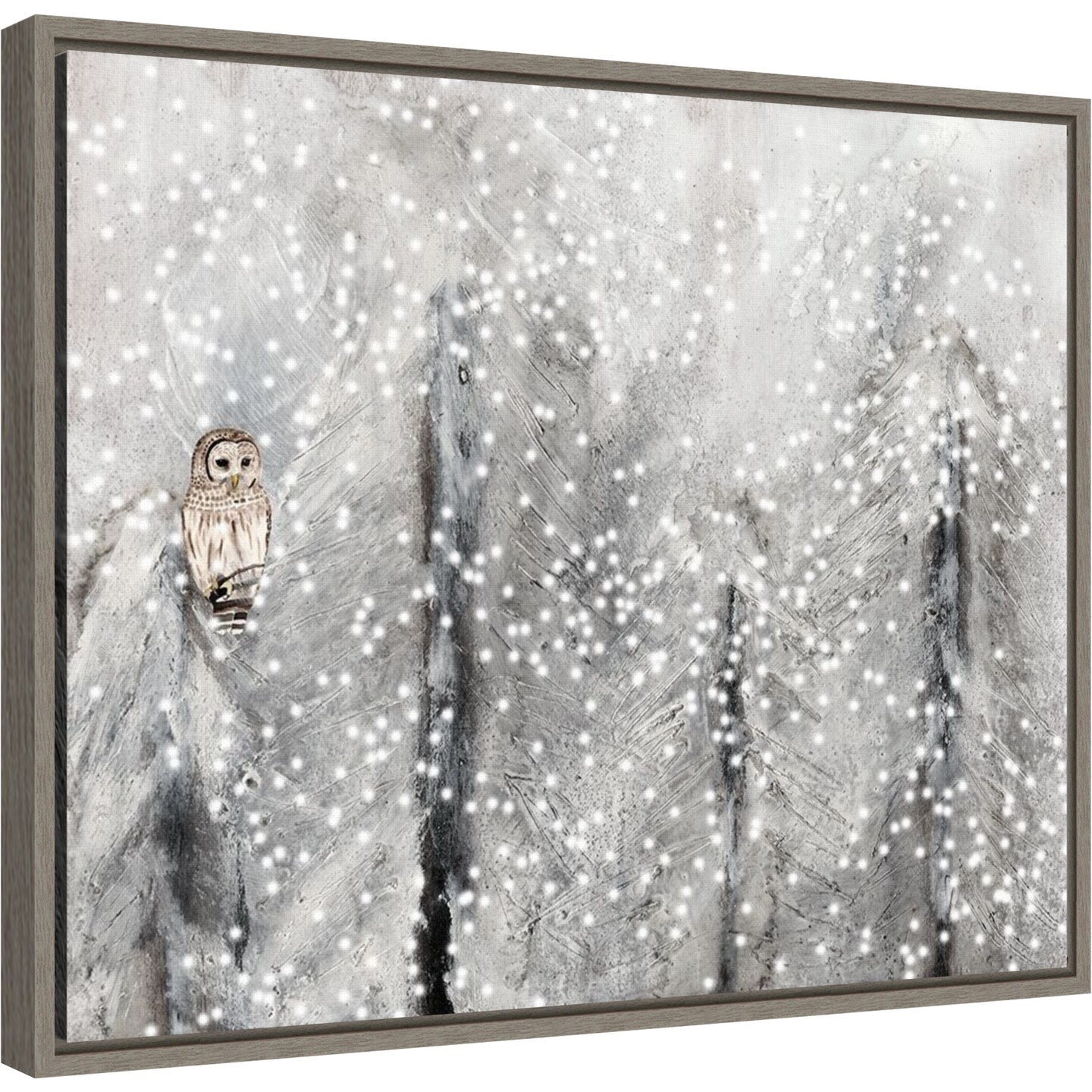 Snowy Habitat II (Owl) by Alicia Ludwig 20-in. W x 16-in. H. Canvas Wall Art Print Framed in Grey