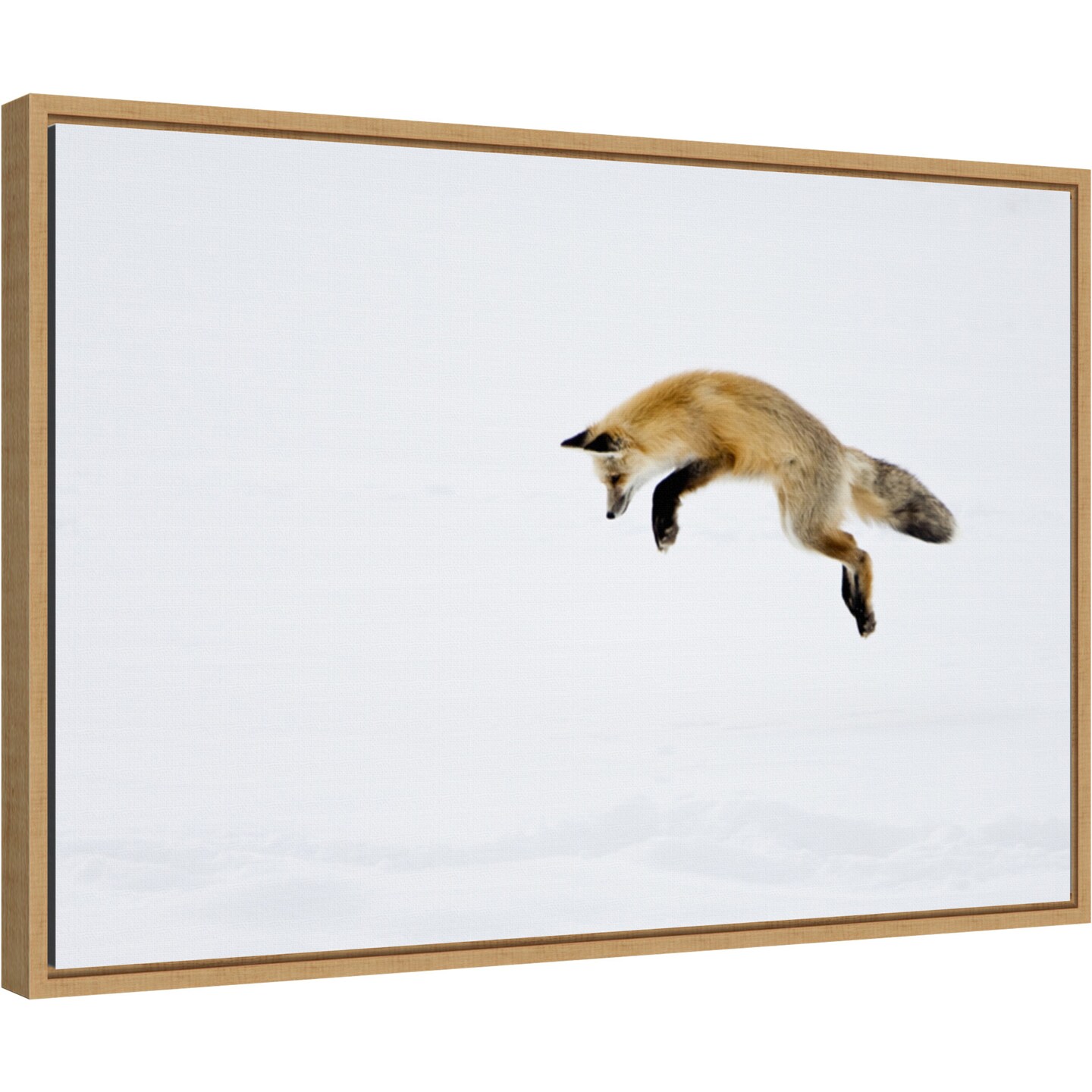 Red Fox in Snow by Deborah Winchester Danita Delimont 23-in. W x 16-in. H. Canvas Wall Art Print Framed in Natural