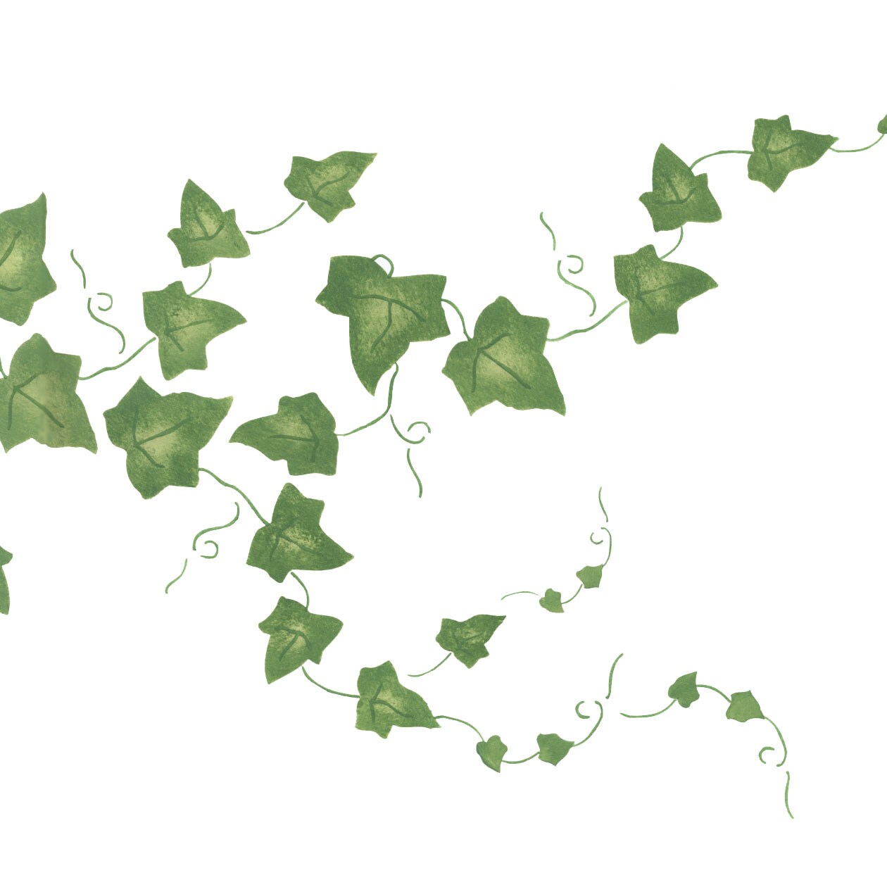 Large Ivy Wall Stencil | 2278 by Designer Stencils | Floral Stencils | Reusable Art Craft Stencils for Painting on Walls, Canvas, Wood | Reusable Plastic Paint Stencil for Home Makeover | Easy to Use & Clean Art Stencil