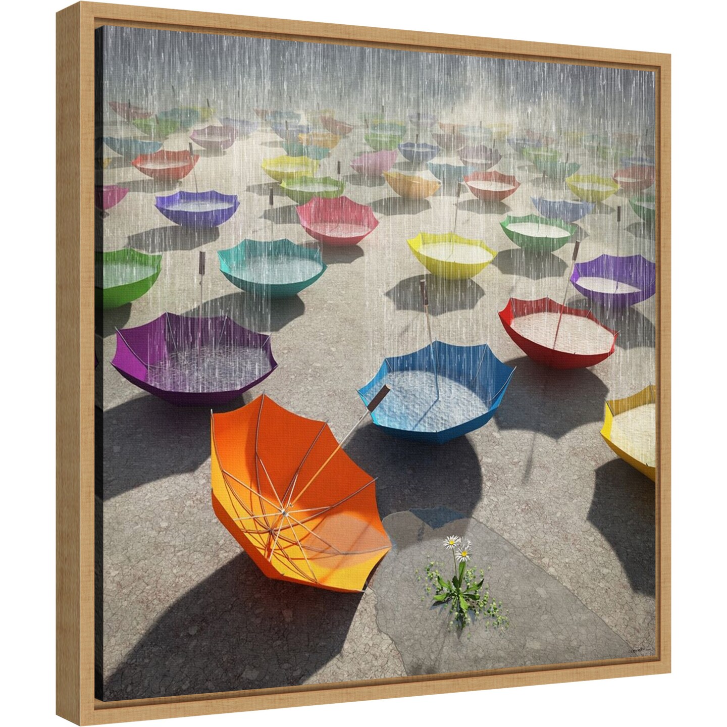 Downpour (Umbrella) by Cynthia Decker Canvas Wall Art Print Framed