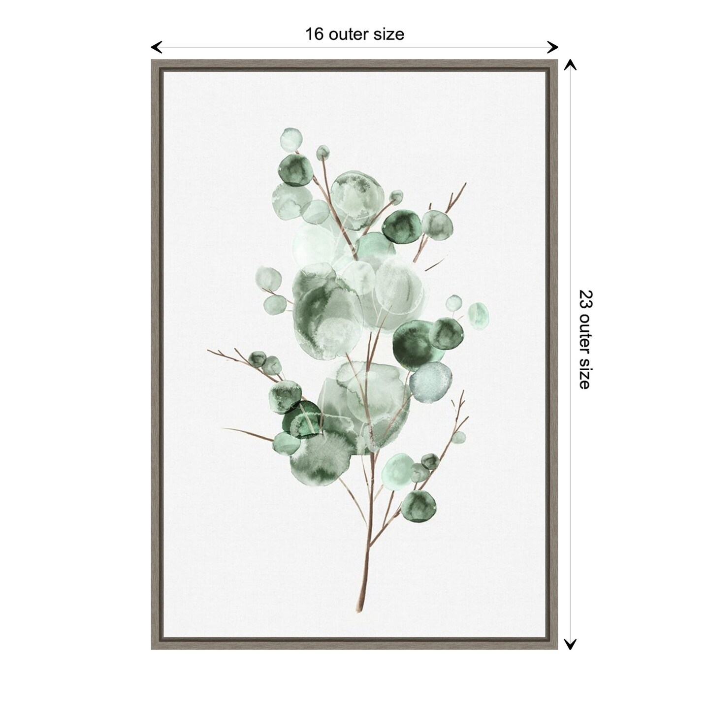 Tender Sprout I (Eucalyptus) by Eva Watts Canvas Art Framed