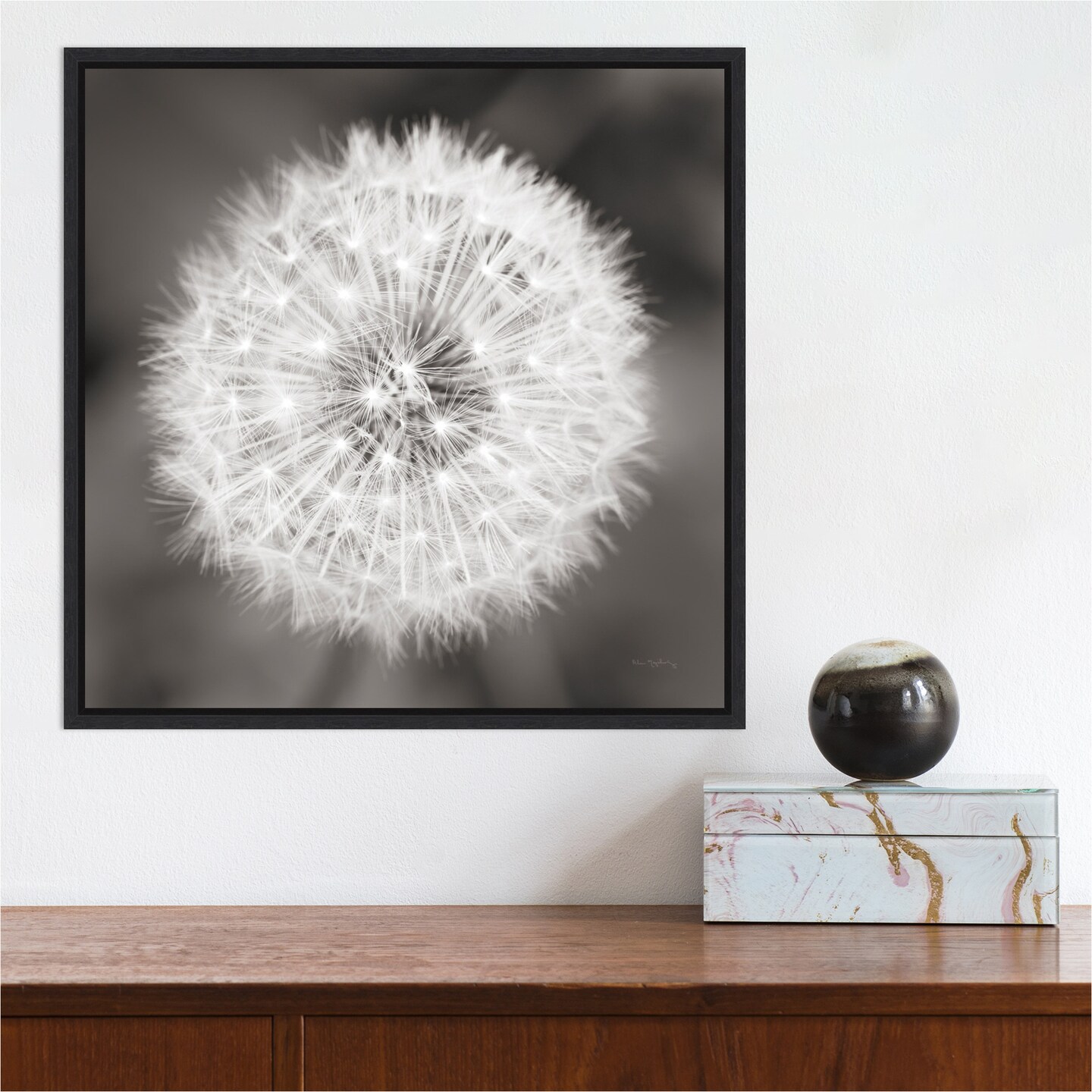 Dandelion Seedhead by Alan Majchrowicz Canvas Wall Art Print Framed