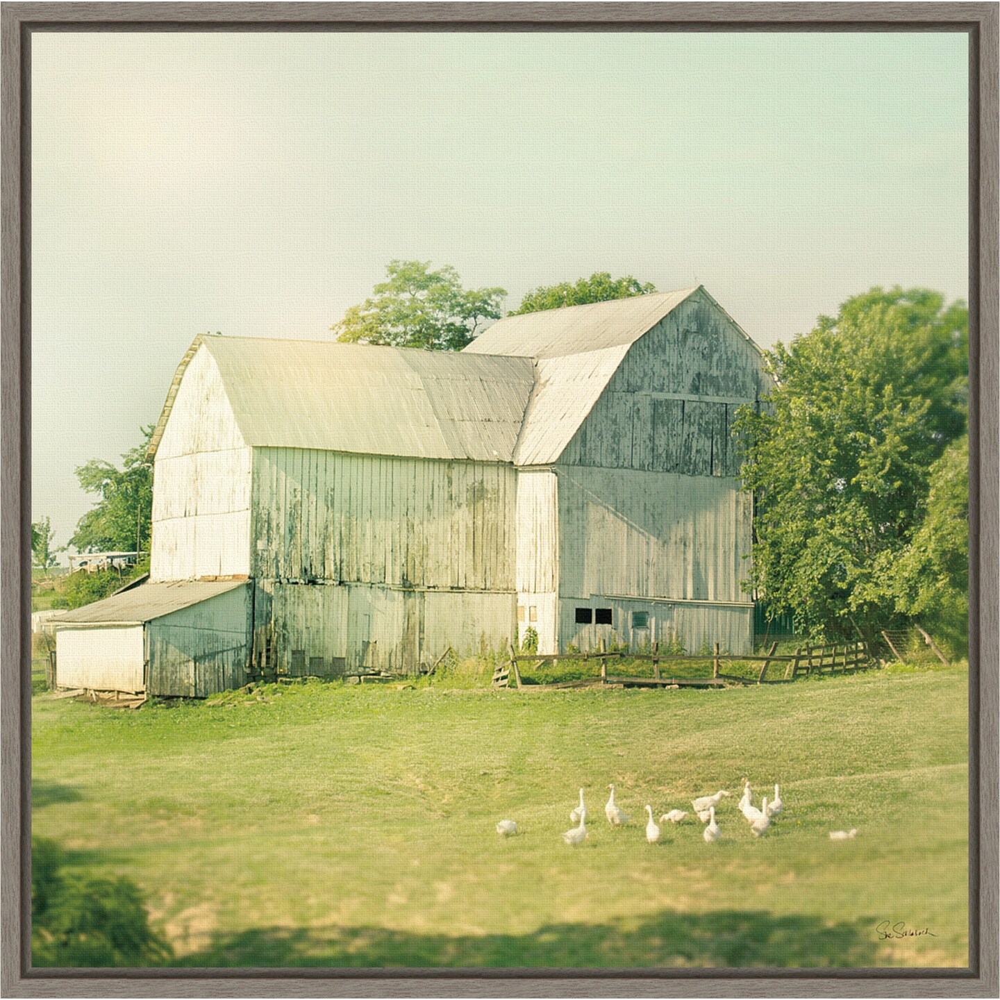 Farm Morning III Square (Barn) by Sue Schlabach 16-in. W x 16-in. H. Canvas Wall Art Print Framed in Grey