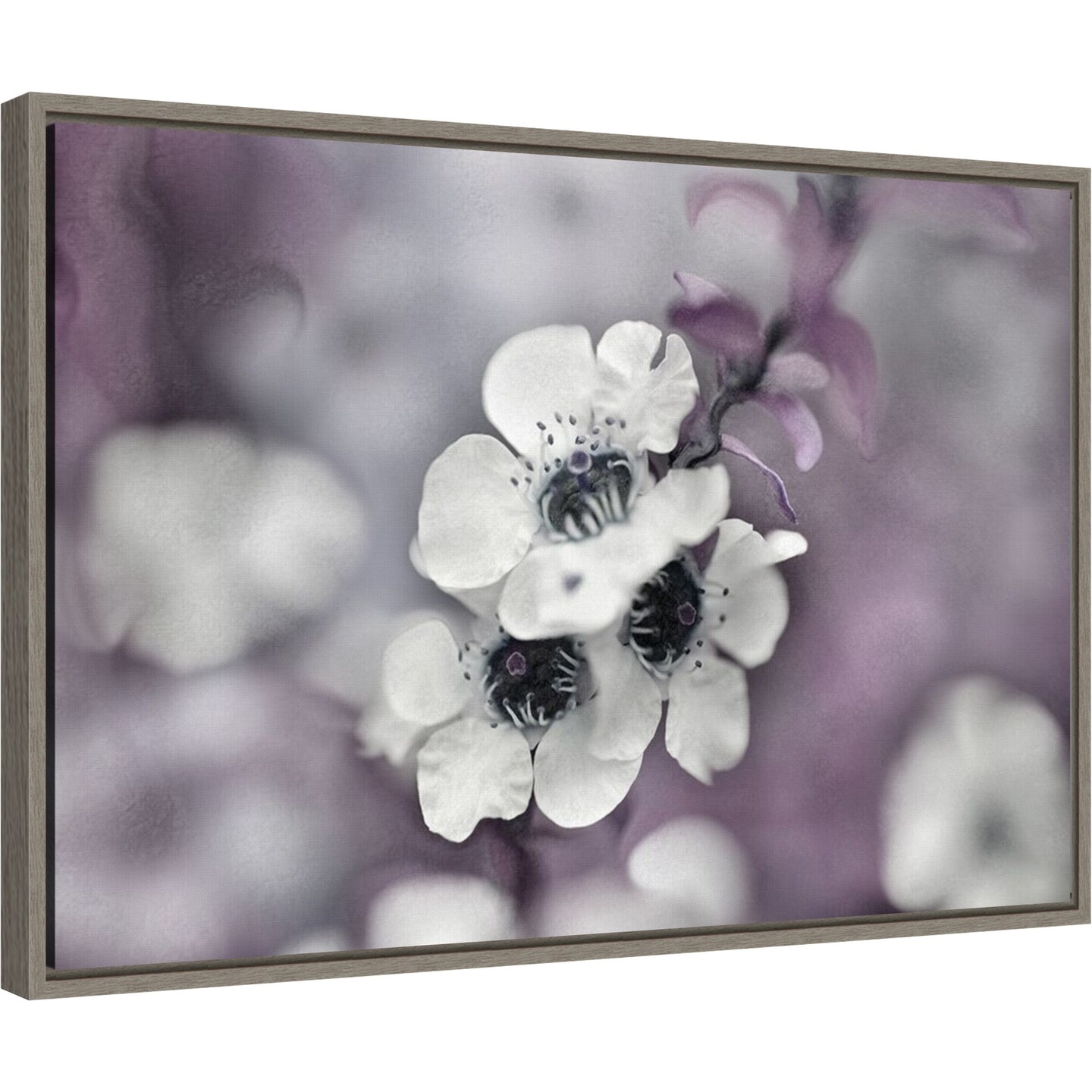 Tales from an Enchanted Flower Glen IV by Gillian Hunt 23-in. W x 16-in. H. Canvas Wall Art Print Framed in Grey