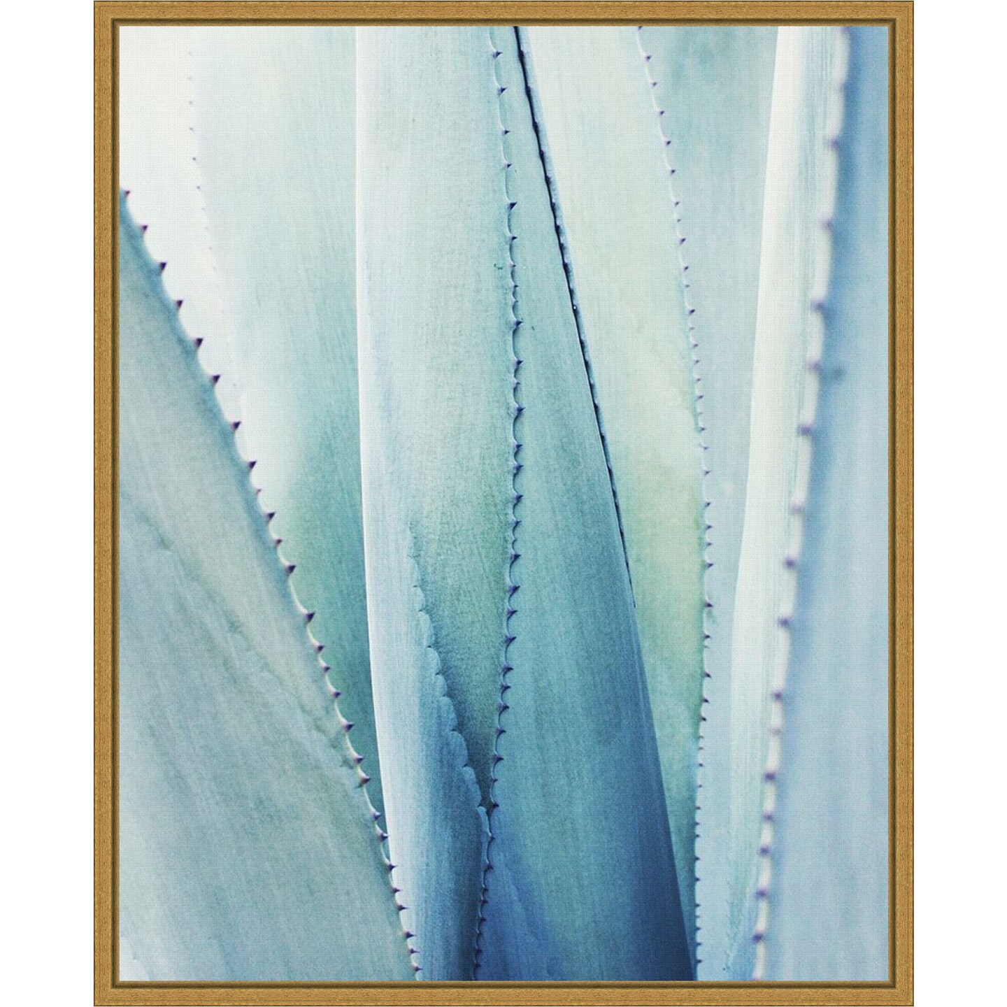 Pale Blue Agave Succulent No. 1 by Lupen Grainne 16-in. W x 20-in. H. Canvas Wall Art Print Framed in Gold