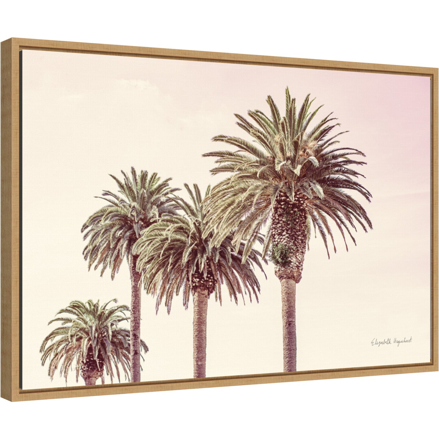 Pastel Palms by Elizabeth Urquhart 23-in. W x 16-in. H. Canvas Wall Art Print Framed in Natural