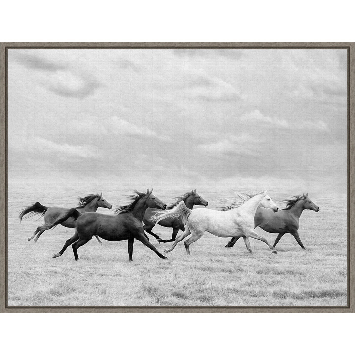 Horse Run I by PHBurchett 24-in. W x 18-in. H. Canvas Wall Art Print Framed in Grey
