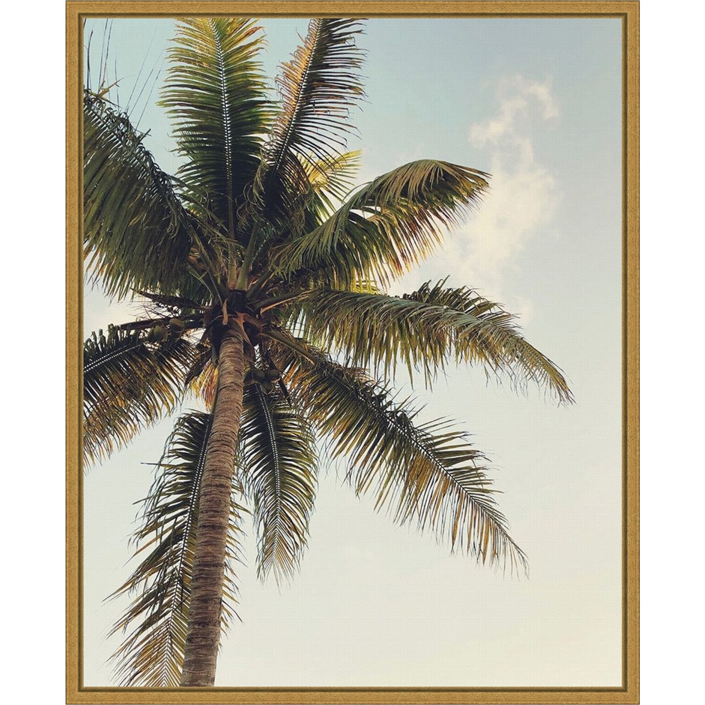 Coconut Palm by Olivia Joy 16-in. W x 20-in. H. Canvas Wall Art Print Framed in Gold