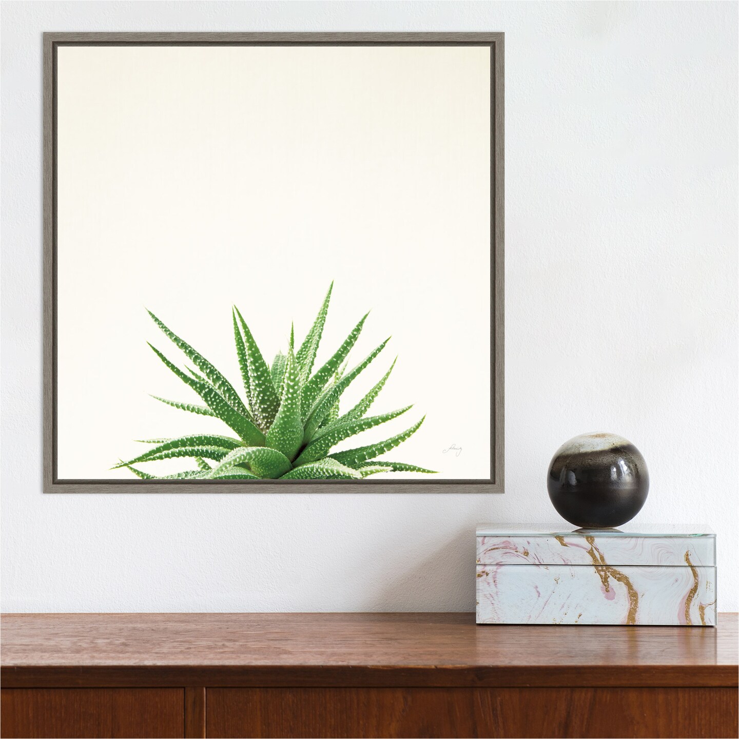 Succulent Simplicity I Neutral by Felicity Bradley 16-in. W x 16-in. H. Canvas Wall Art Print Framed in Grey