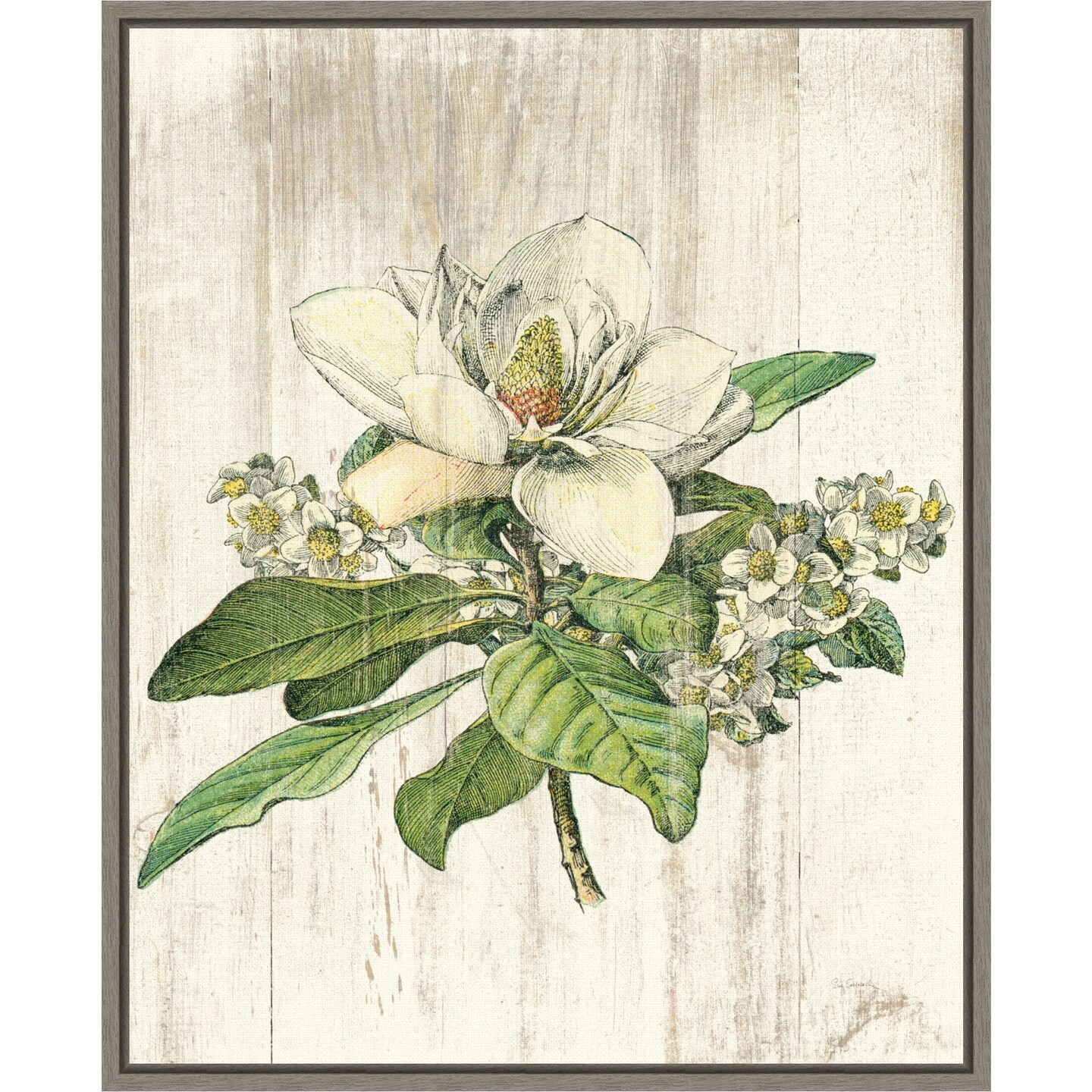 Magnolia de Printemps Flower by Sue Schlabach 16-in. W x 20-in. H. Canvas Wall Art Print Framed in Grey