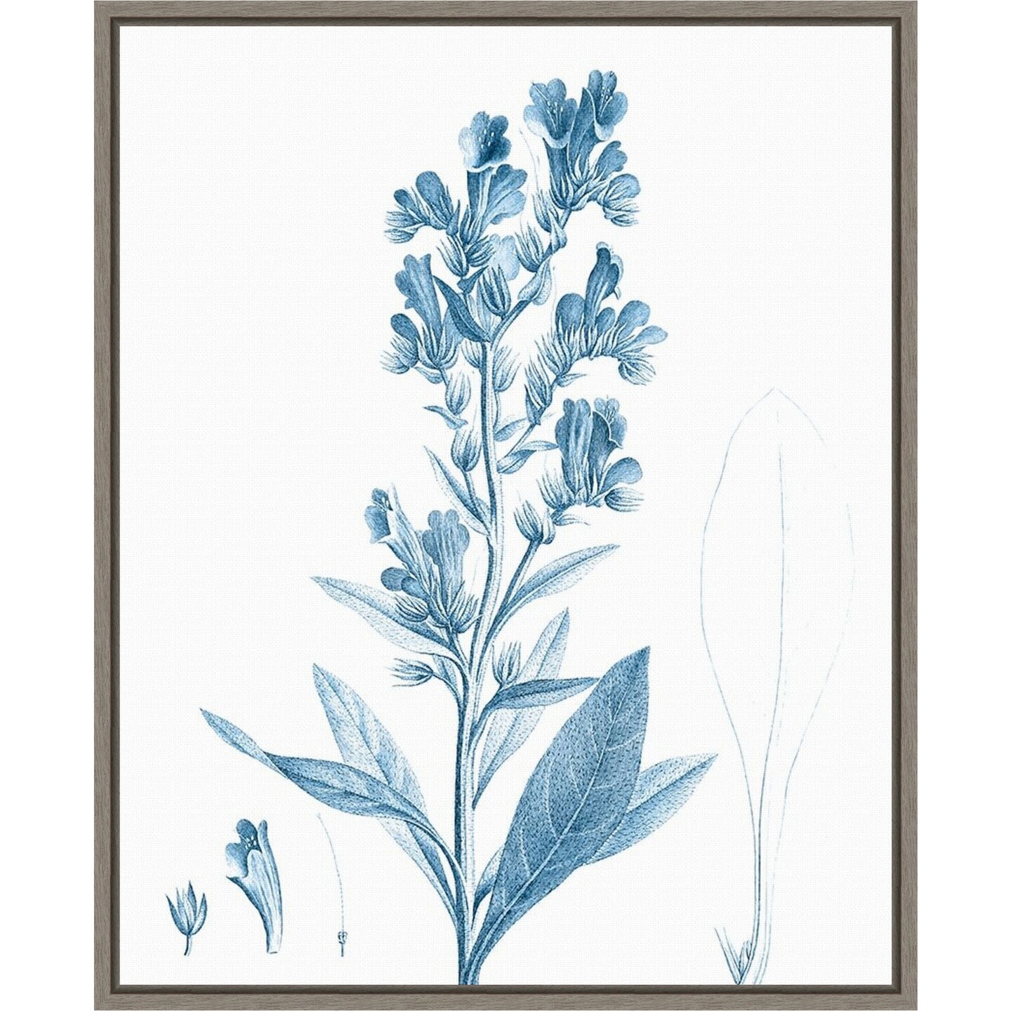Antique Botanical in Blue III by Vision Studio 16-in. W x 20-in. H. Canvas Wall Art Print Framed in Grey