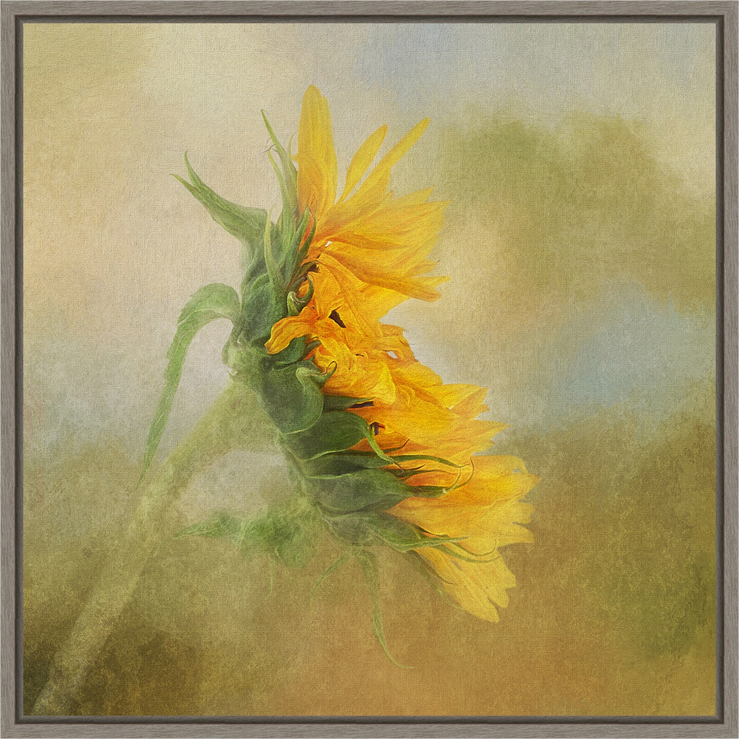 油絵 絵画 【sunflower】 Amazon.com: ZXHYWYM Sunflower Canvas Wall Art Vintage