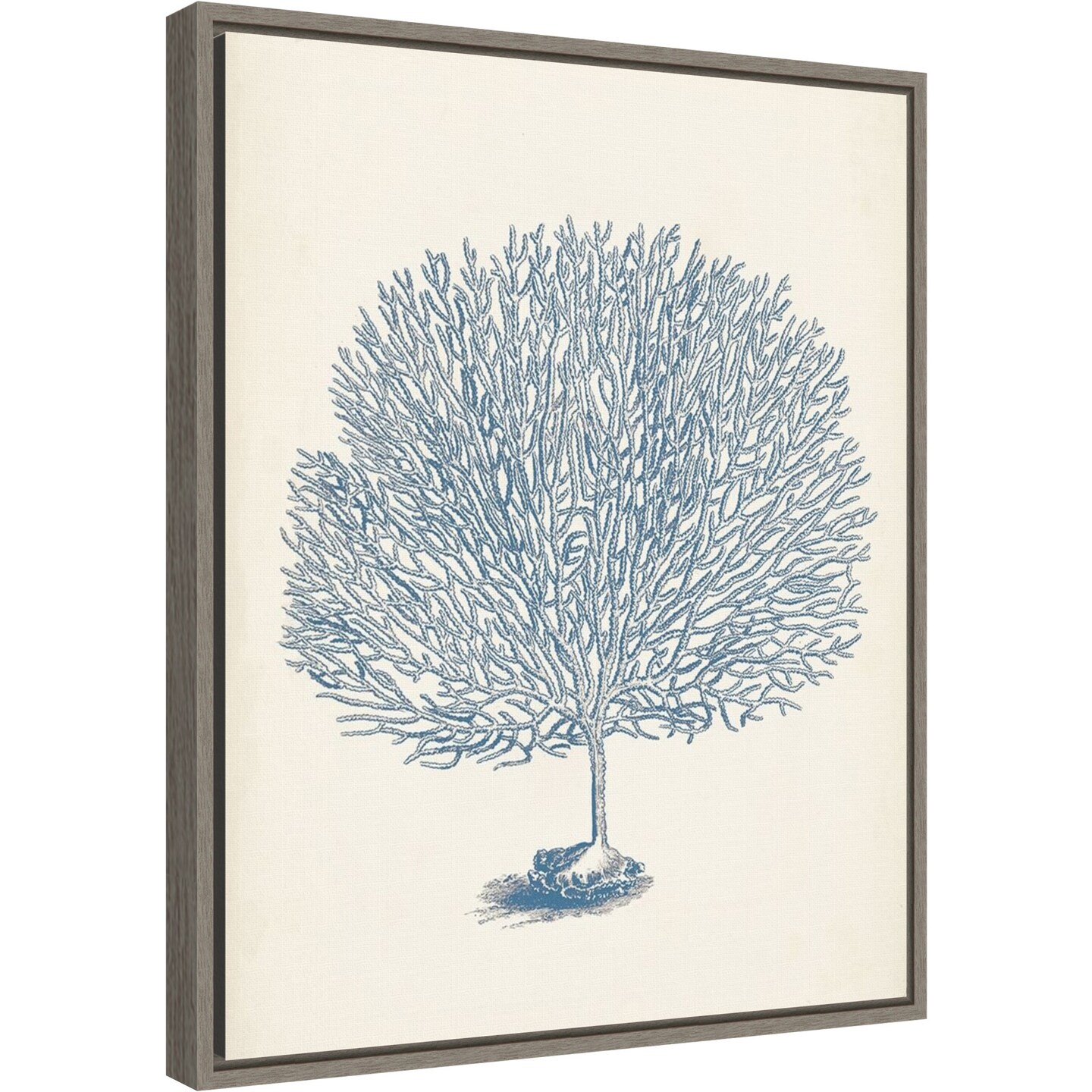 Antique Coral Collection I by Vision Studio 16-in. W x 20-in. H. Canvas Wall Art Print Framed in Grey