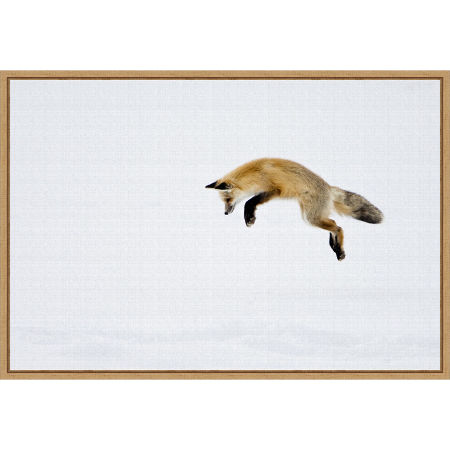 Red Fox in Snow by Deborah Winchester Danita Delimont 23-in. W x 16-in. H. Canvas Wall Art Print Framed in Natural