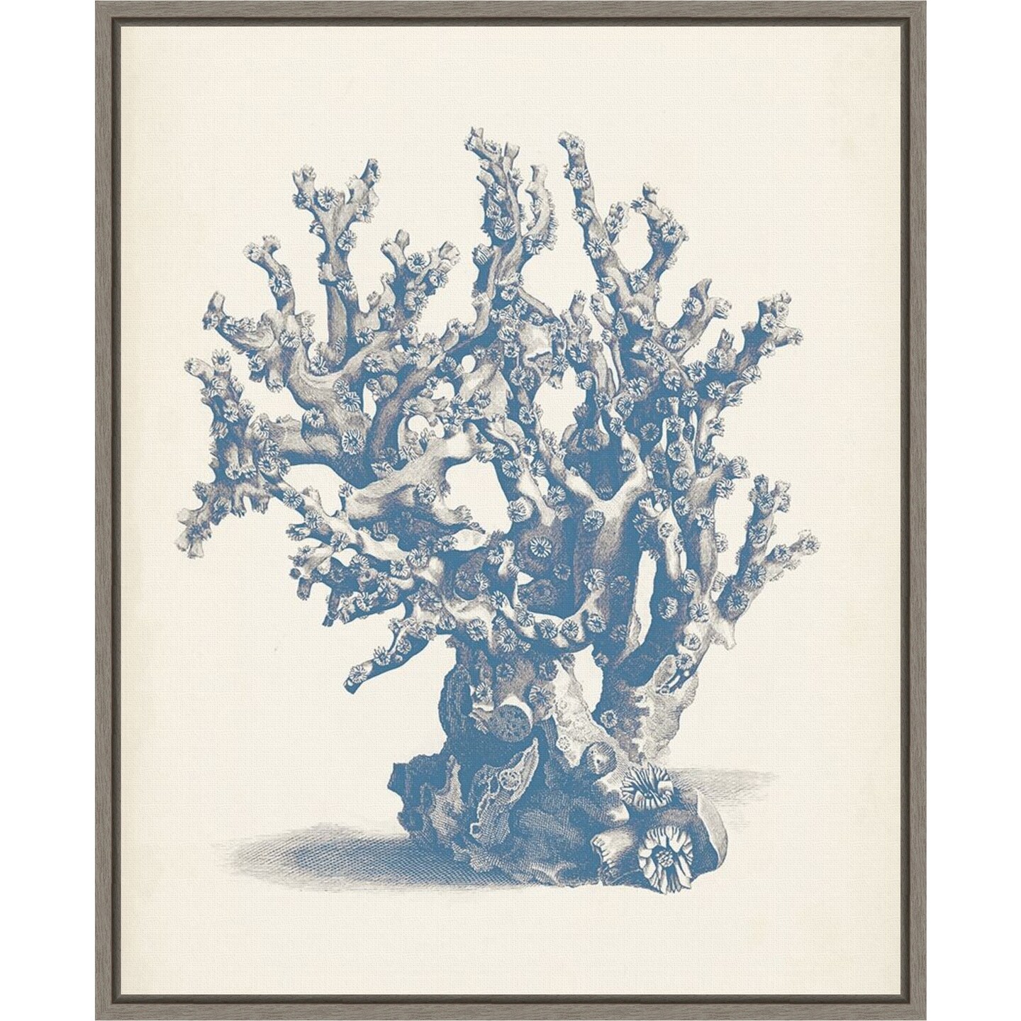 Antique Coral Collection V by Vision Studio 16-in. W x 20-in. H. Canvas Wall Art Print Framed in Grey