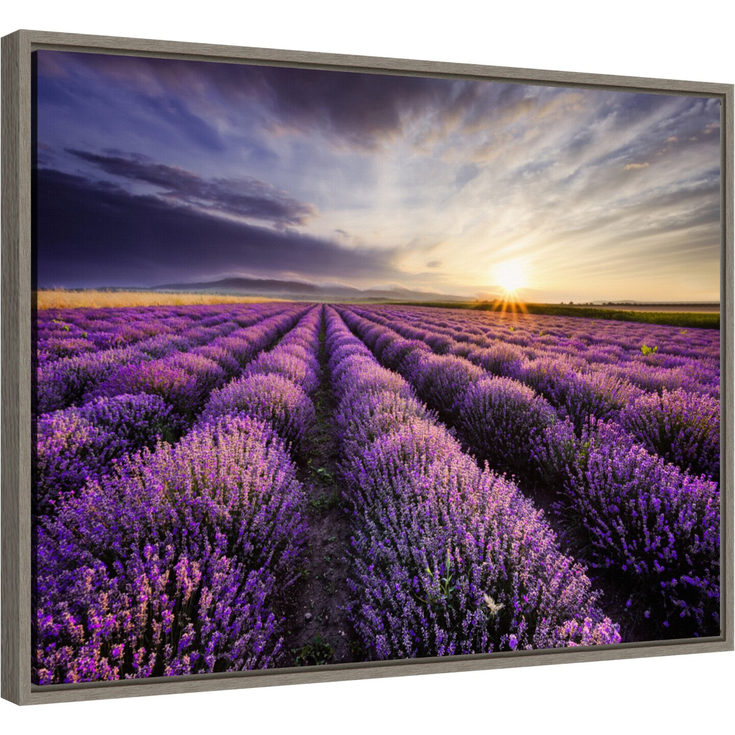 Lavender Sunrise by Anon 24-in. W x 18-in. H. Canvas Wall Art Print Framed in Grey