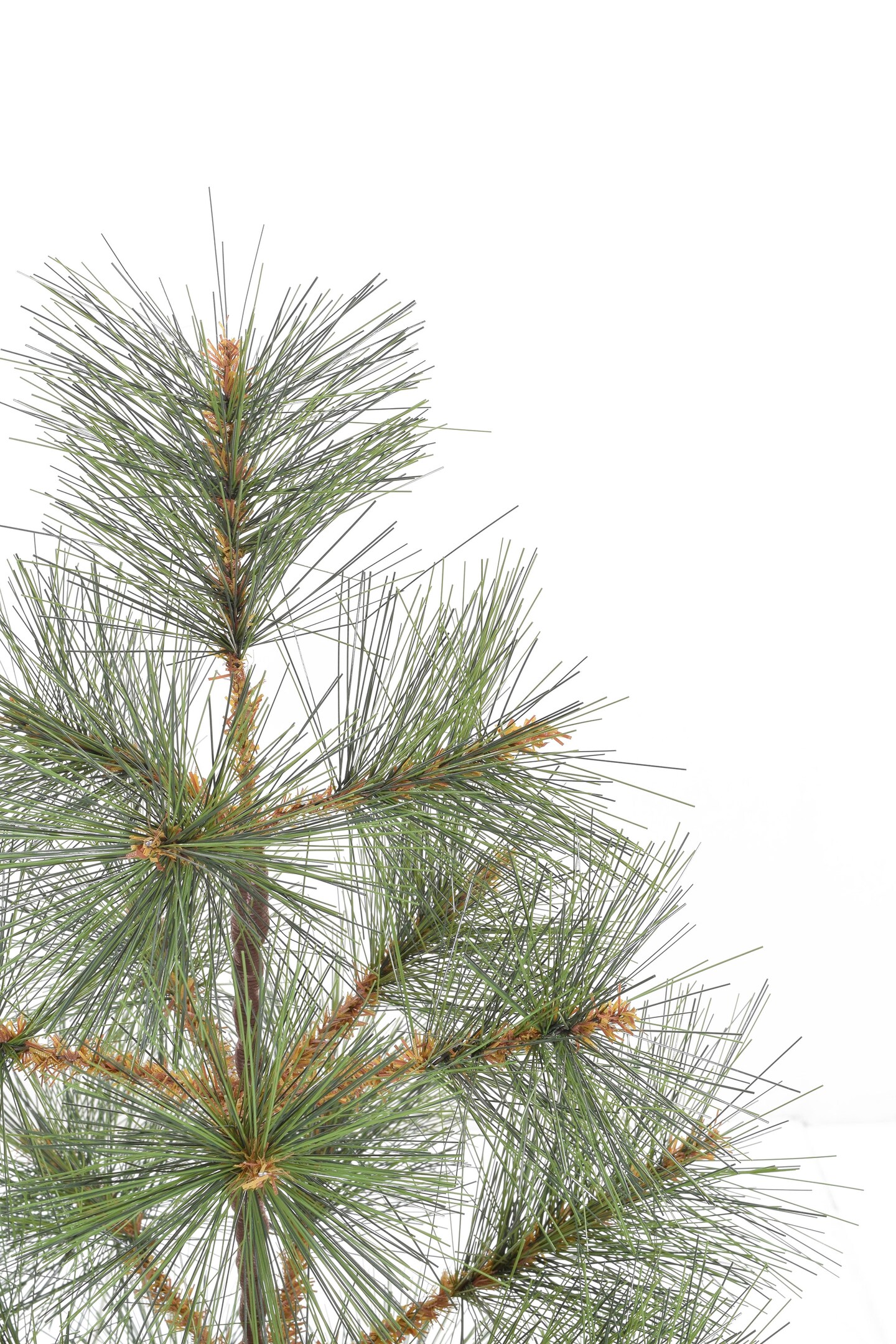 Perfect Holiday 24" Tabletop Mountain Pine Christmas Tree With Burlap Base