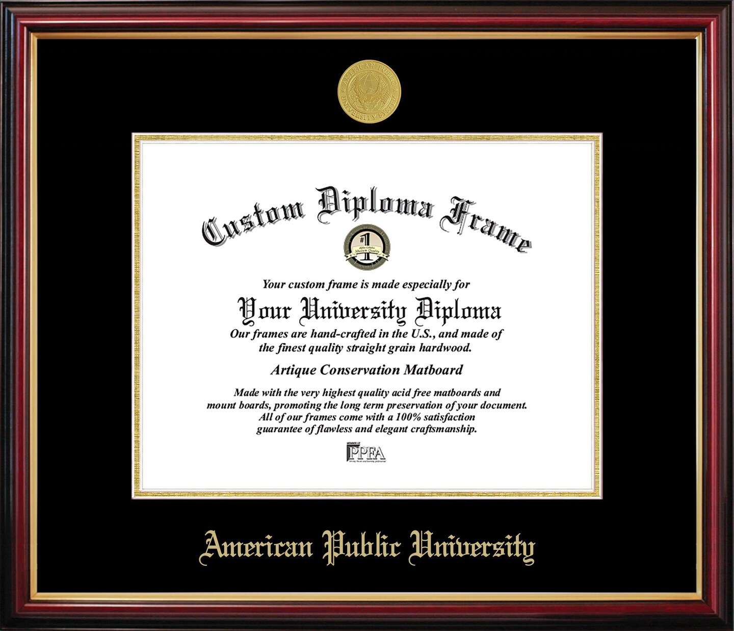 American Public University Petite Diploma Frame