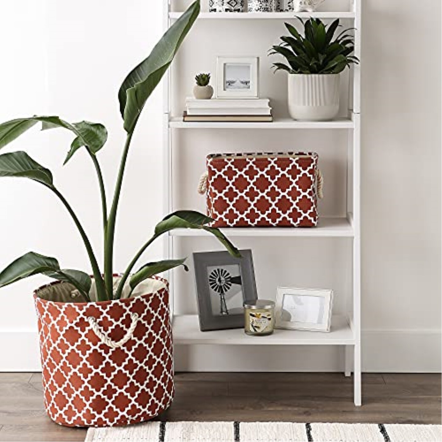 Terravita Organic, Vegan, &#x26; Gluten-Free Body Bar Soap, Almond, 100 Gram