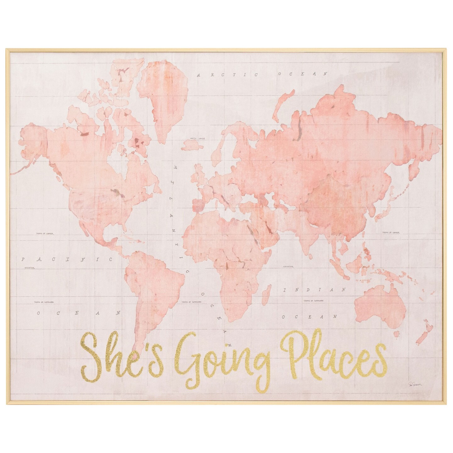 Across the World Shes Going Places Pink by Sue Schlabach, Framed Wall Art, 20.5W x 16.5H Michaels