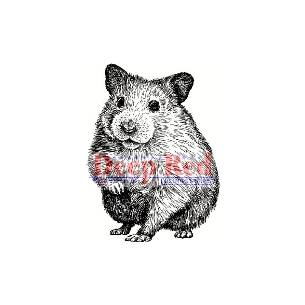 Deep Red Stamps Hamster Rubber Cling Stamp 1.6 x 2.1  inches