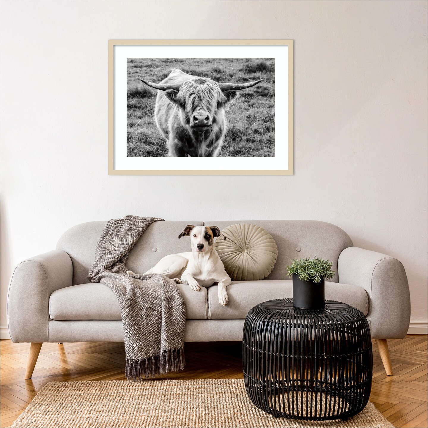 Highland Cow Staring Contest by Nathan Larson Wood Framed Wall Art Print