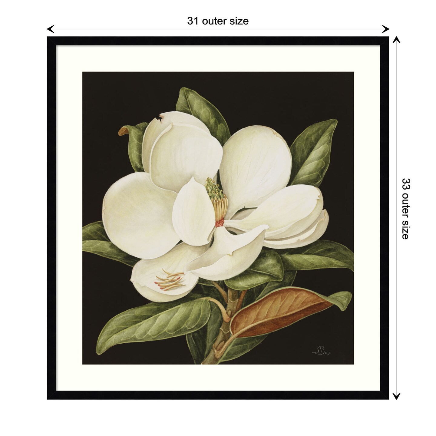 Magnolia Grandiflora 2003 by Jenny Barron Wood Framed Wall Art Print