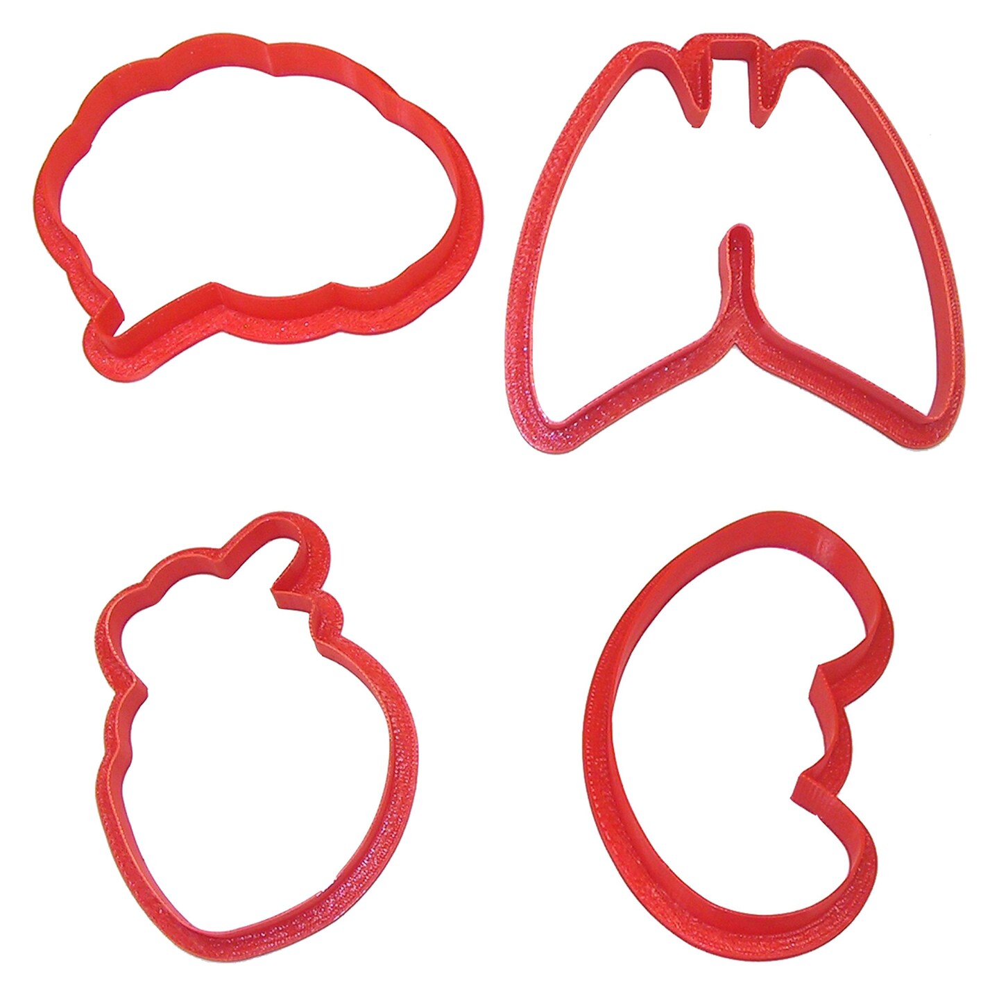 CookieCutter.com Anatomical Body Parts Cookie Cutters 4 Piece Set, Kidney, Heart, Lungs, Brain, Plastic, USA