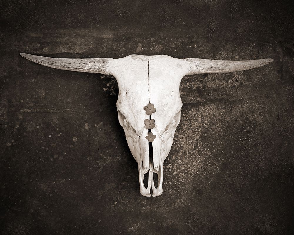 Sepia Cattle Skull Poster Print by Brooke T. Ryan - Item # VARPDXR1222D