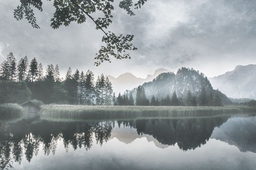 Evening Melody Poster Print by Irene Weisz - Item # VARPDX41268