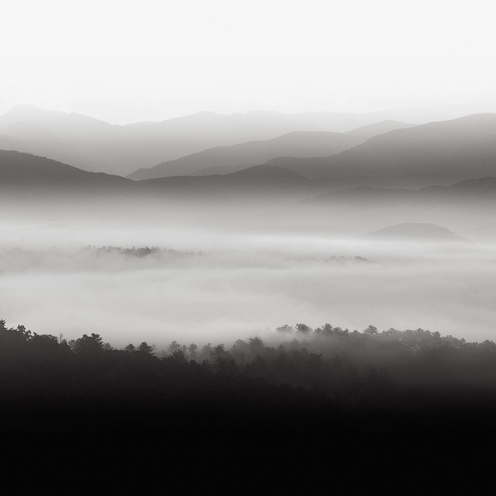 Still Morning Smoky Mountains Poster Print by Nicholas Bell # B3796D