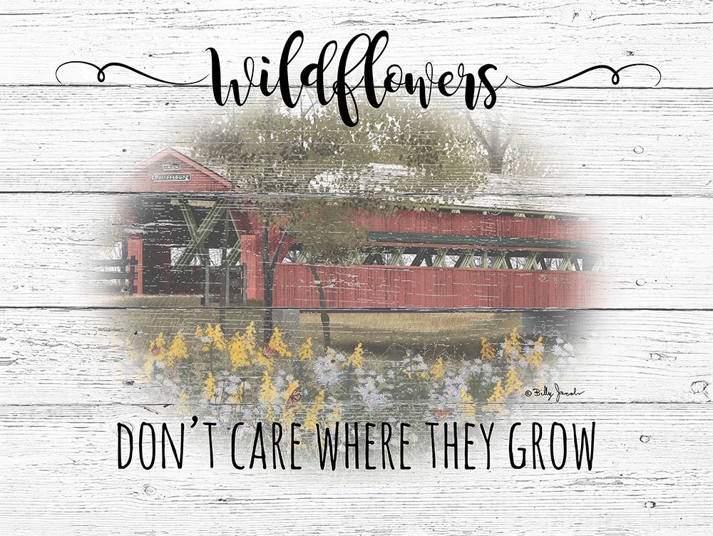 Wildflowers Poster Print by Billy Jacobs - Item # VARPDXBJ1217
