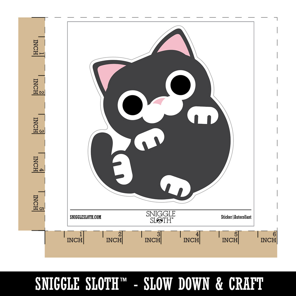 Round Cat Playful Waterproof Vinyl Phone Tablet Laptop Water Bottle Sticker Set - 5 Pack