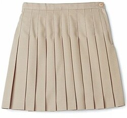 School Uniform Pleated Skirt for Girl&#x27;s | 100% Polyester Uniforms are a Perfect fit | RADYAN&#xAE;