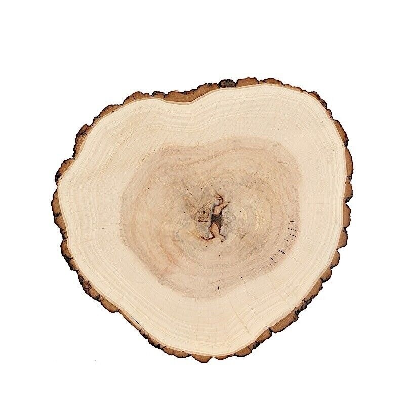 18&#x22; wide Natural Round Poplar Wooden Slices