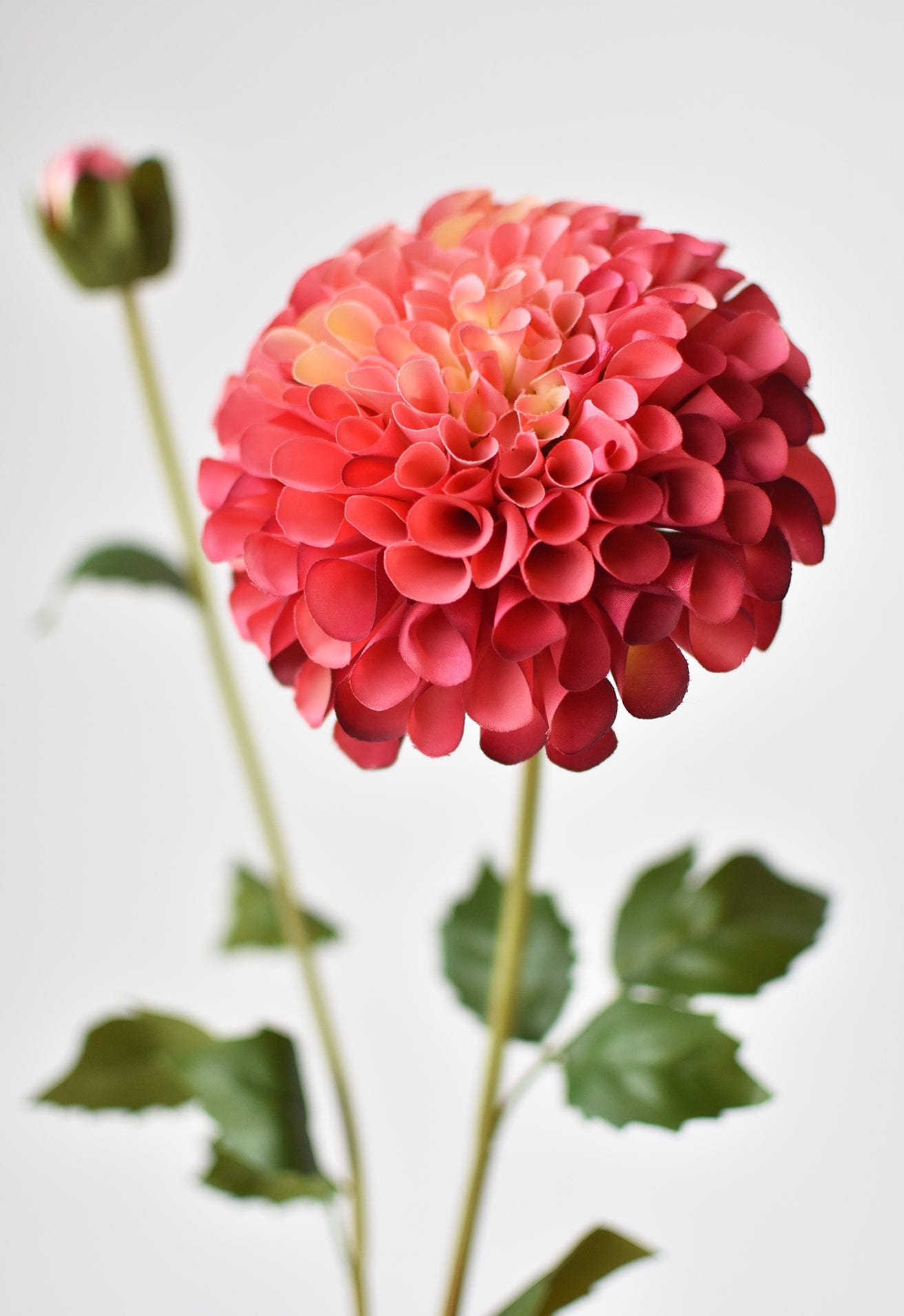 31&#x22; Faux Dahlia Stem Two Tone Rose