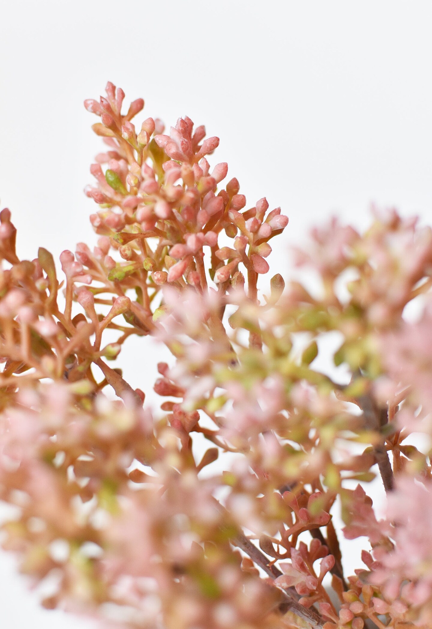 14&#x22; Faux Pink Sedum Bundle (3 Stems)