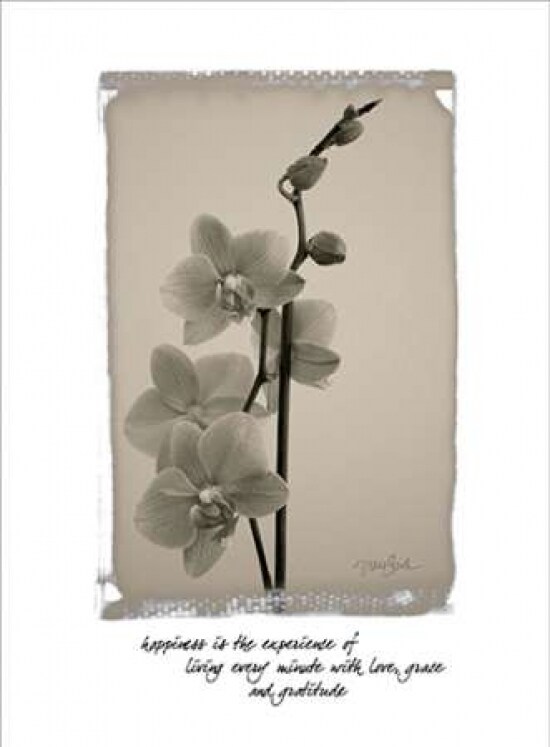Orchid Poster Print by Diane Stimson # DSRC211D1