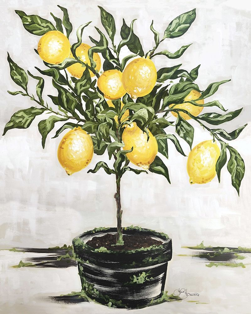 Lemon Tree Poster Print by Hollihocks Art Hollihocks Art - Item # VARPDXHH101
