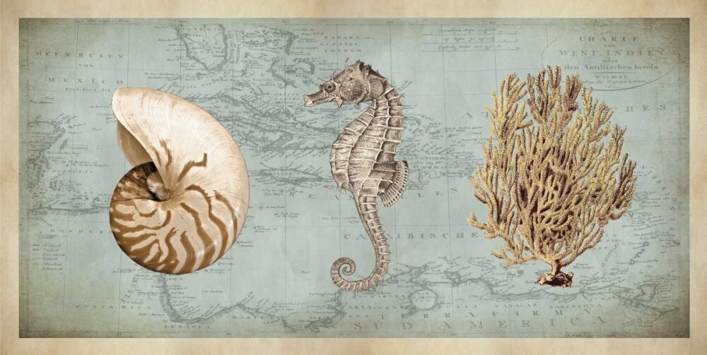 Sea Treasures I Poster Print by Deborah Devellier # DDV7414