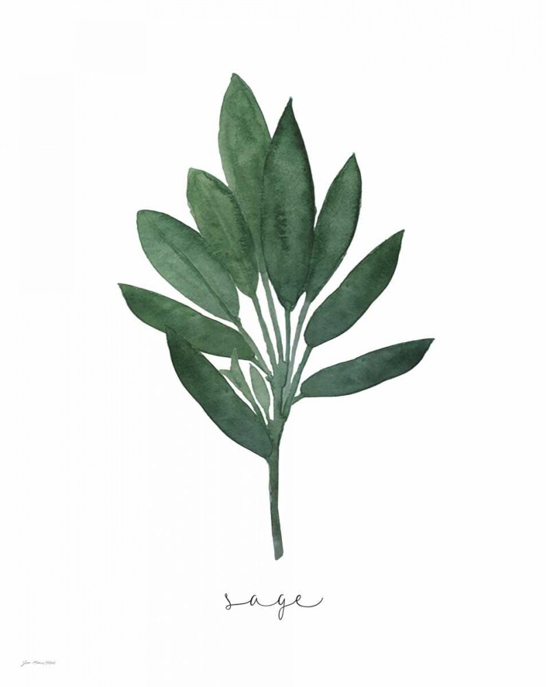 Sage Poster Print by Jo Moulton - Item # VARPDXJM15483