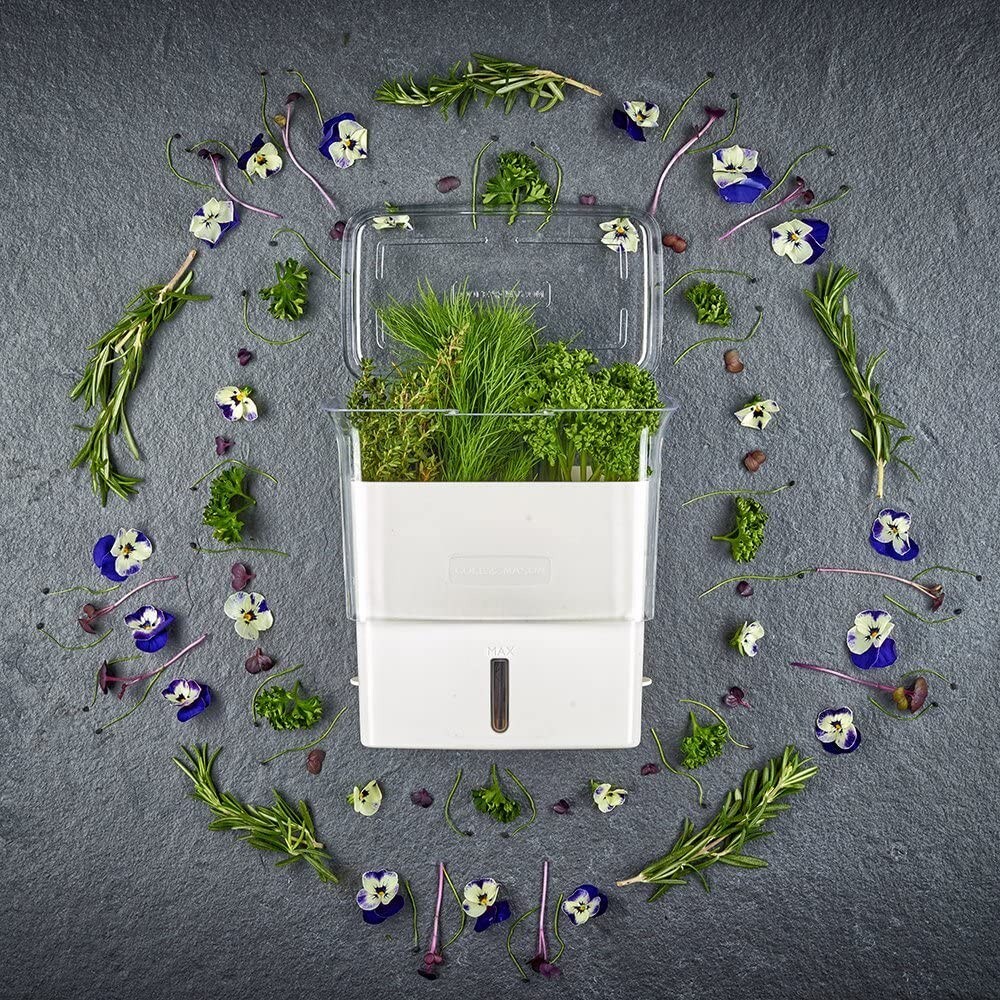 Cole & Mason Fresh Herb Keeper Container