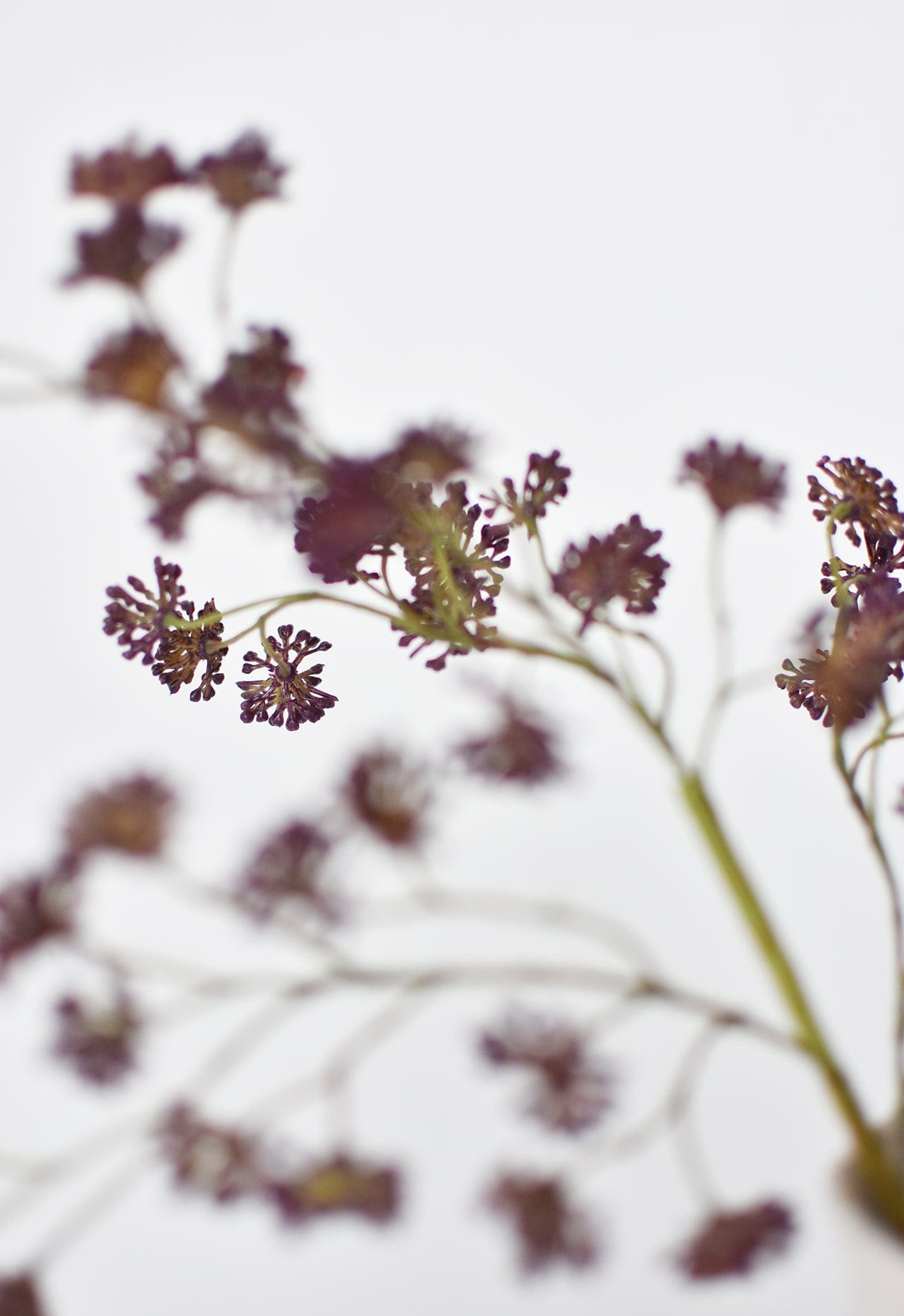 16&#x22; Faux Purple Soft Sedum Berry Stem