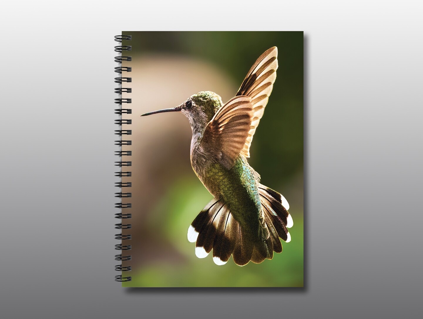 product name is Rufous Hummingbird 2 - Spiral Notebook