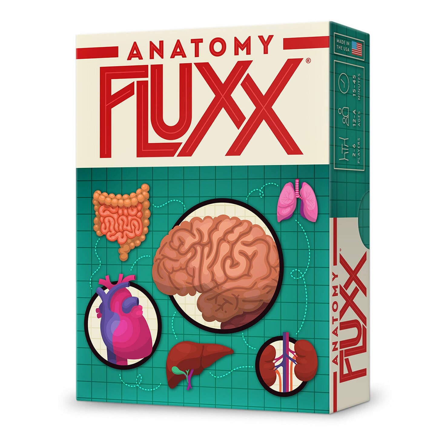 Anatomy Fluxx&#xAE; Card Game