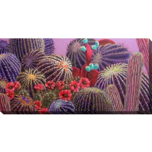 Outdoor Living and Style Purple and Red Evening Cactus Outdoor Canvas Rectangular Wall Art Decor 24&#x22; x 48&#x22;