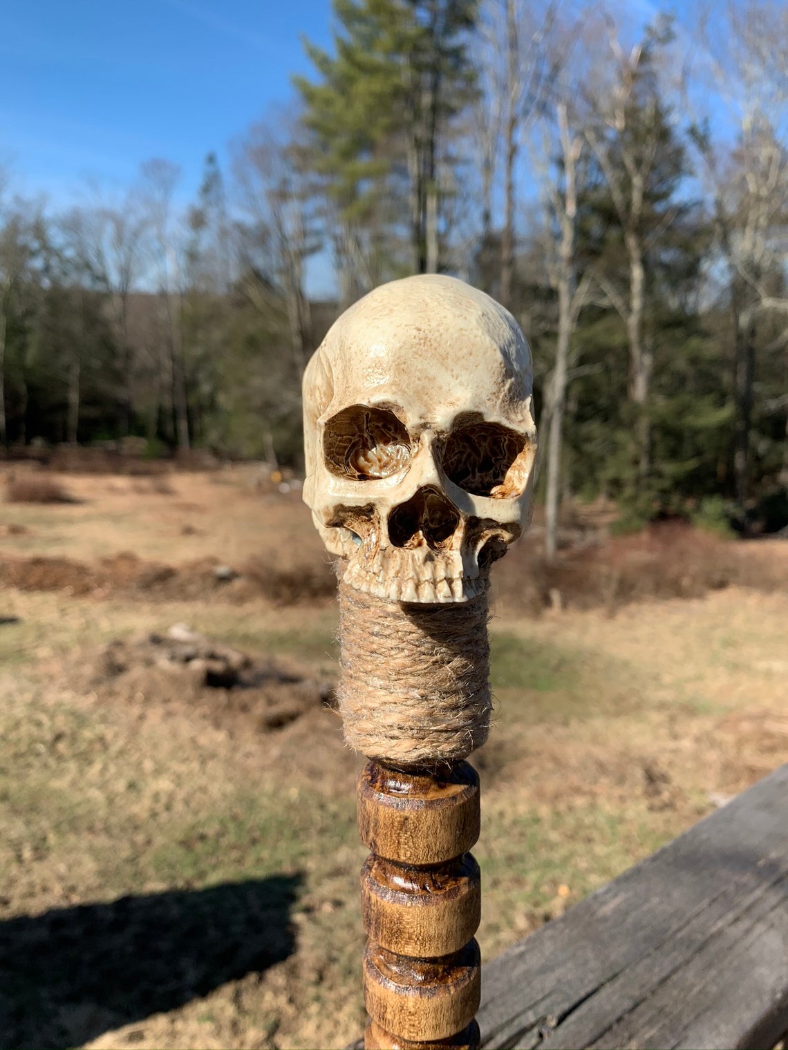 Hand buy carved walking stick